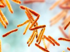Suda Koliform ve E. coli Analizi: Önemi ve Uygulama Süreçleri-img