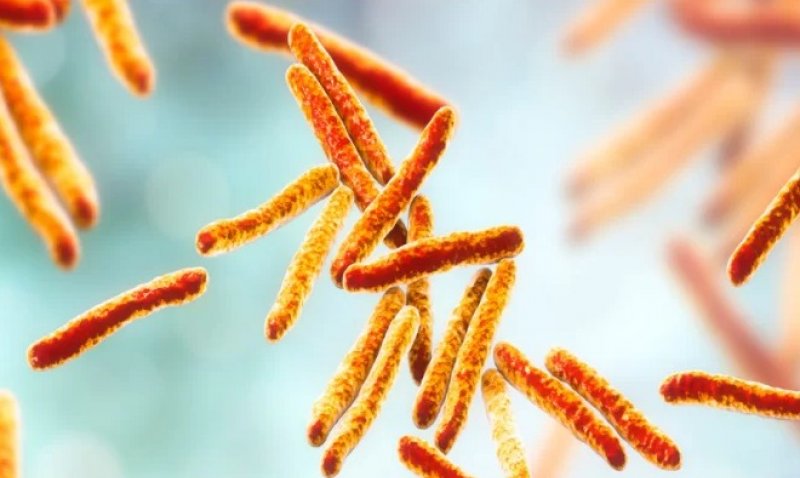 Suda Koliform ve E. coli Analizi: Önemi ve Uygulama Süreçleri-img